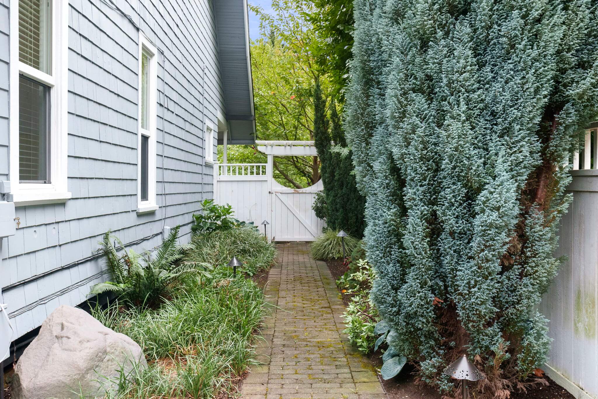 Side yard with mature plantings