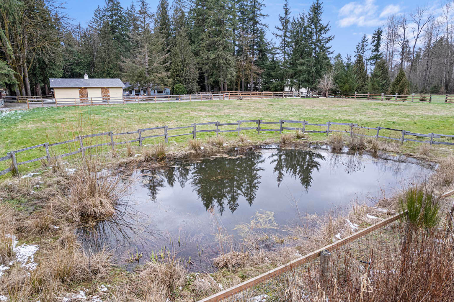 Year round pond at the back of one pasture