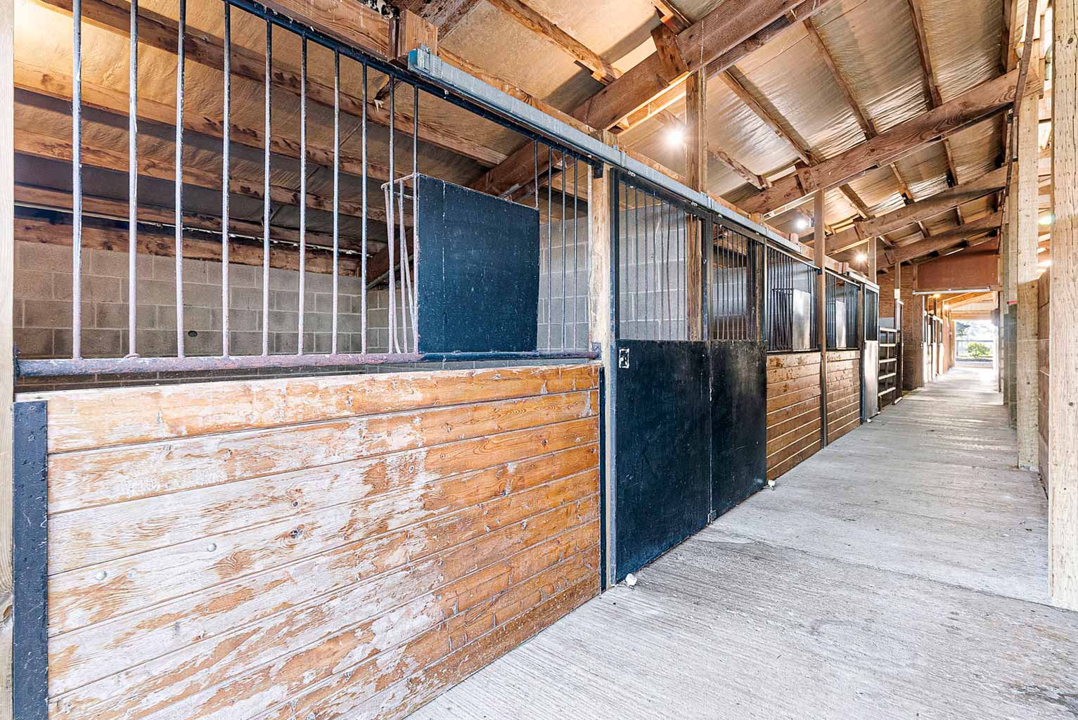The main barn has a total of eleven 12' x 12' rubber-matted box stalls