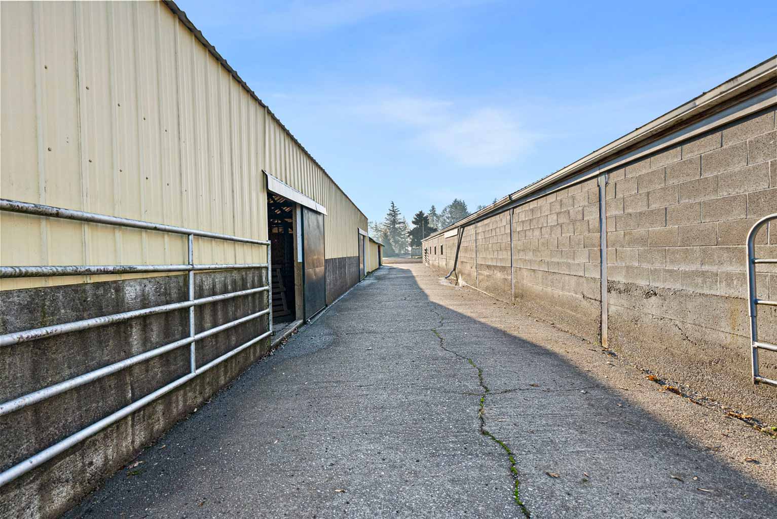 Concrete aisle separates the two barns