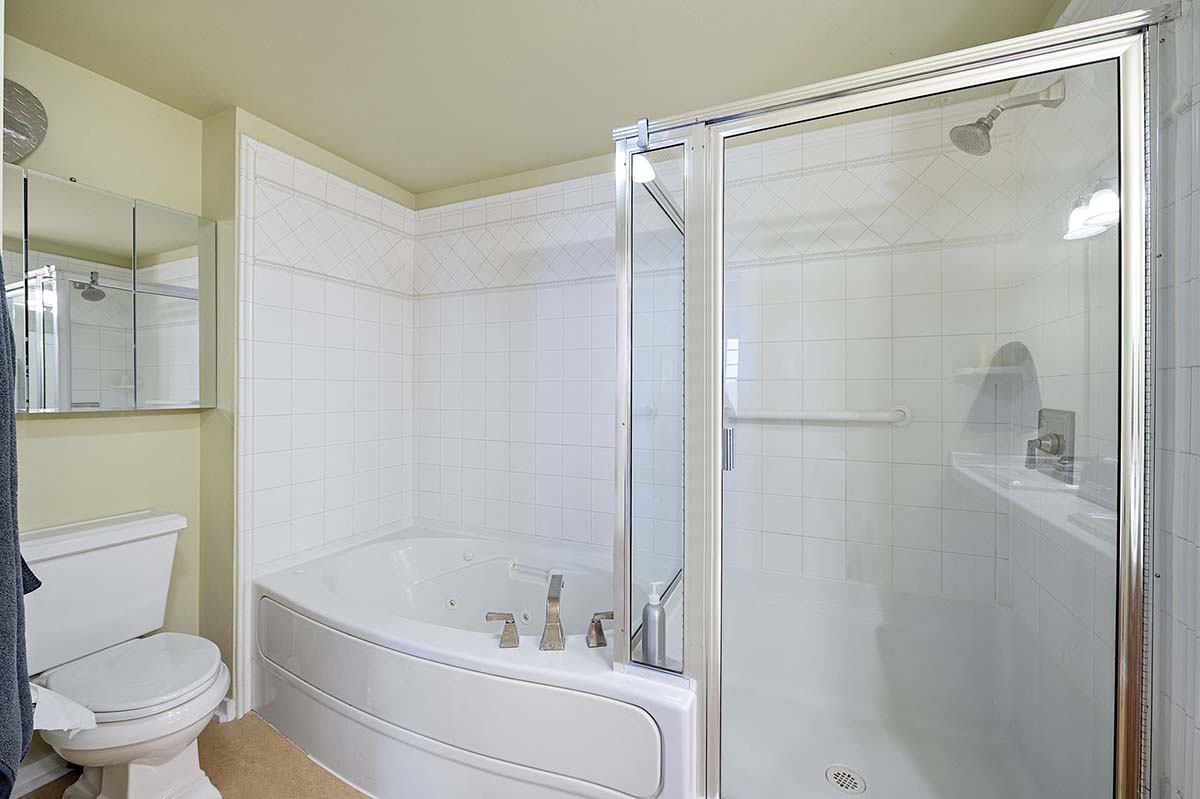 Jetted tub and separate shower
