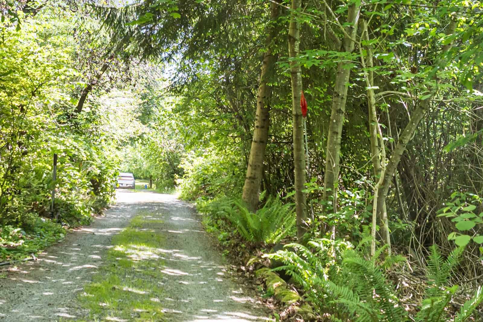 Tree-lined private road leads to the property