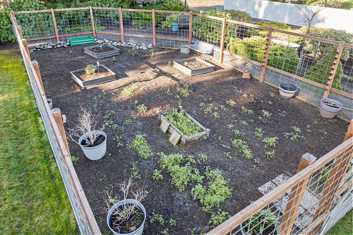 850sf fenced flower and veggie garden with drip irrigation system