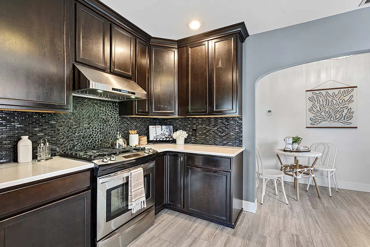 Stainless gas range and range hood