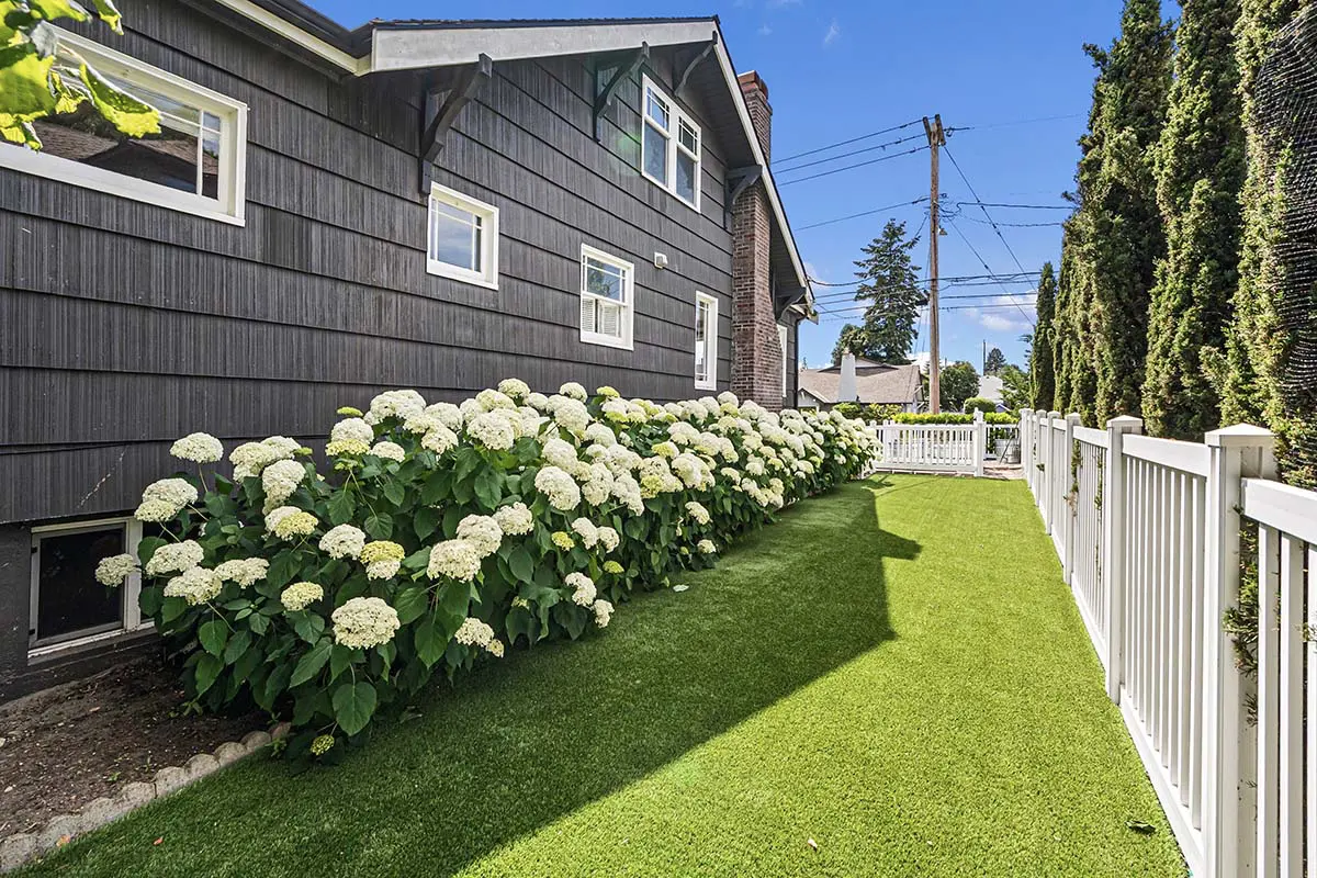 Side yard with artificial turf