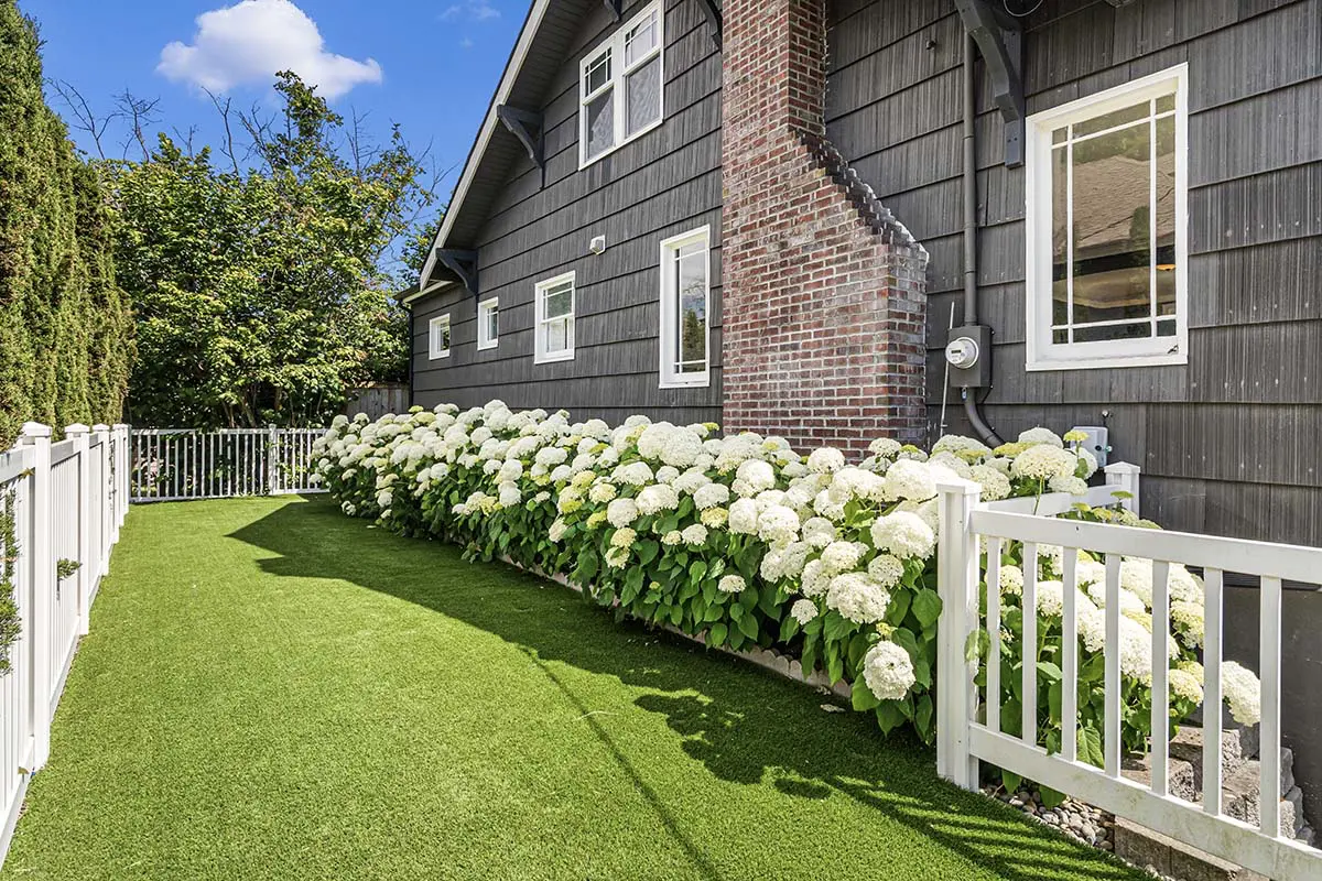 Beautifully landscaped